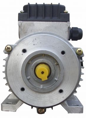 ABB Motor two-speed 3GAA168 303-JSC M3AA 160 L 2/4 19.5/4.5KW B3 IE2